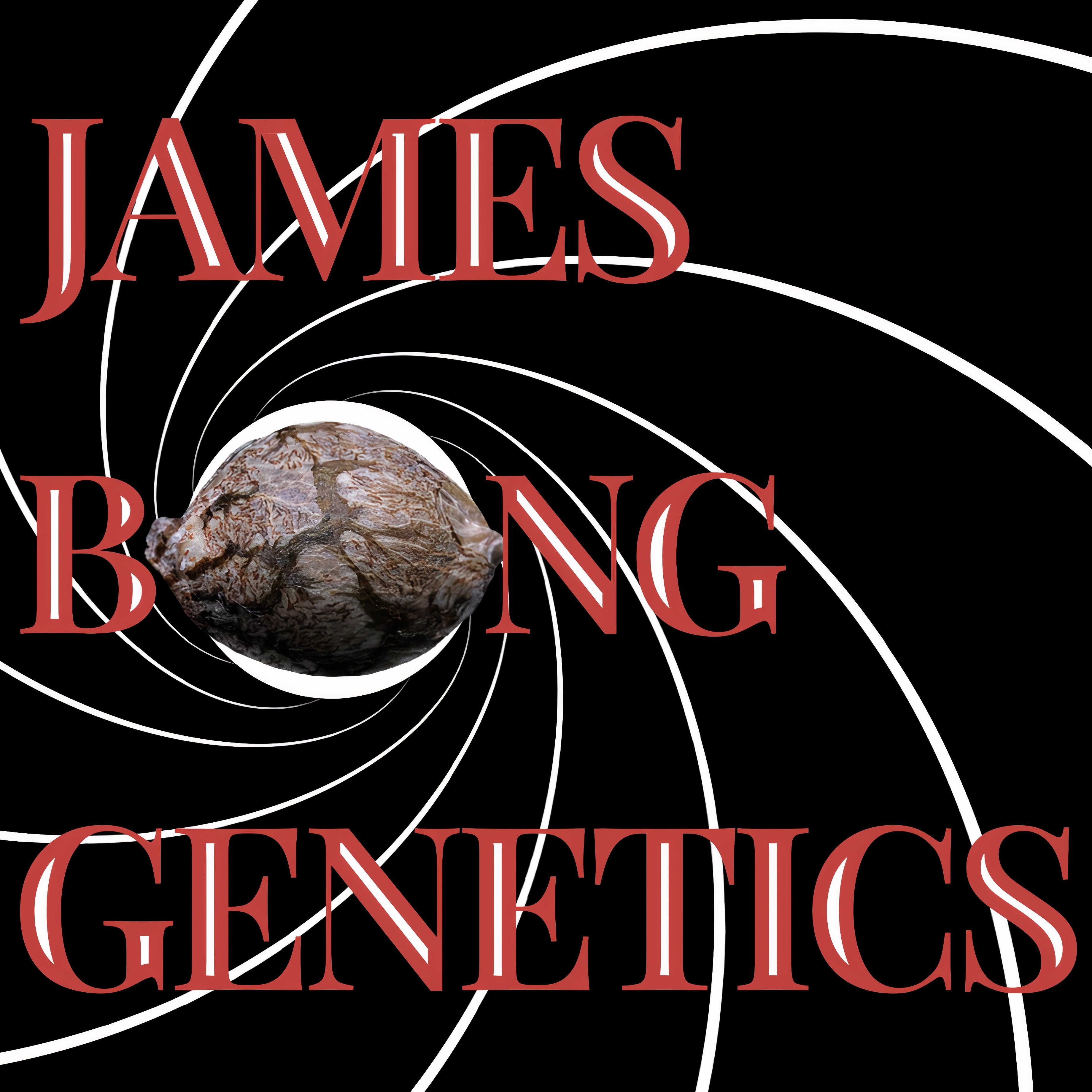 James Bong Genetics's image