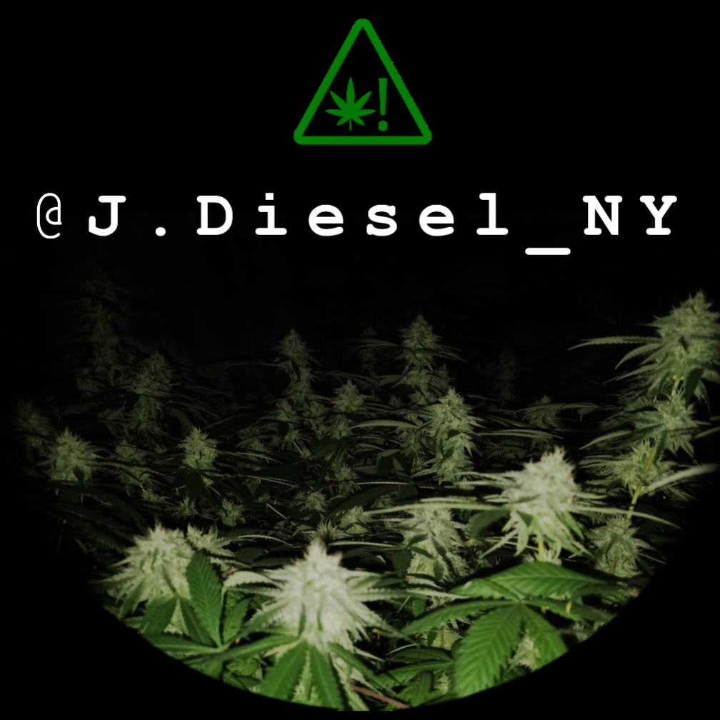 J.Diesel_NY's image