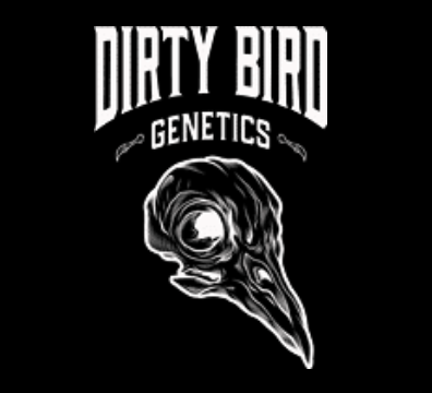 Dirty Bird Genetics's image