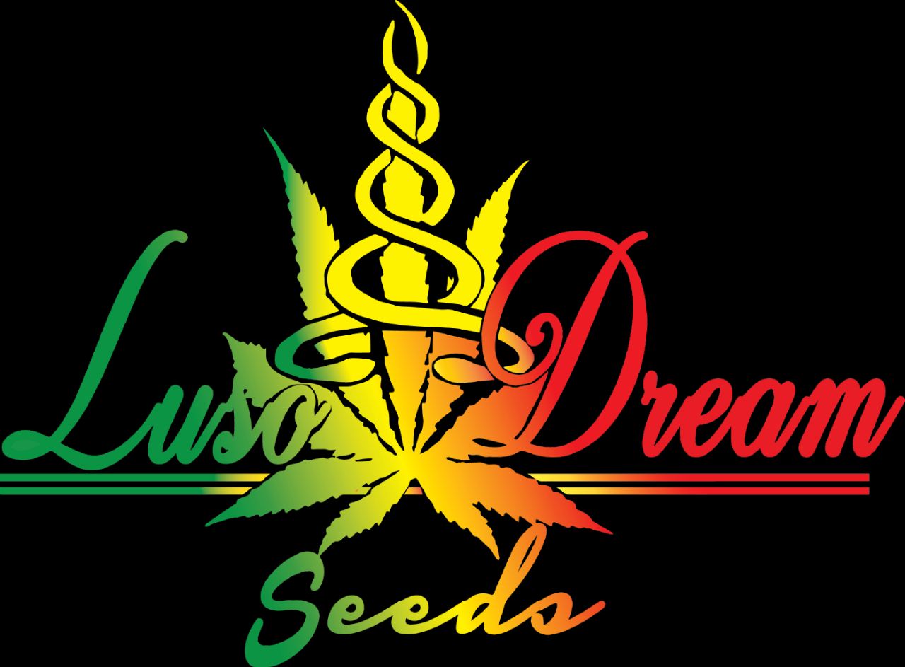 LusoDream Seeds 's image