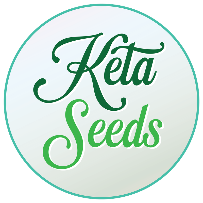 Keta Seeds's image