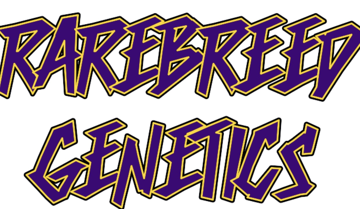 Rarebreed Genetics's image