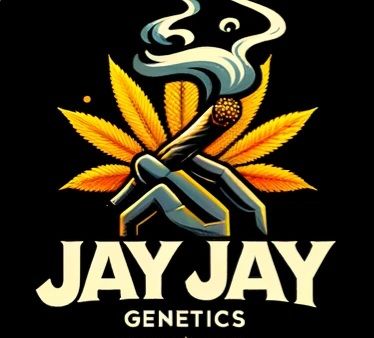 Jay Jay Genetics's image