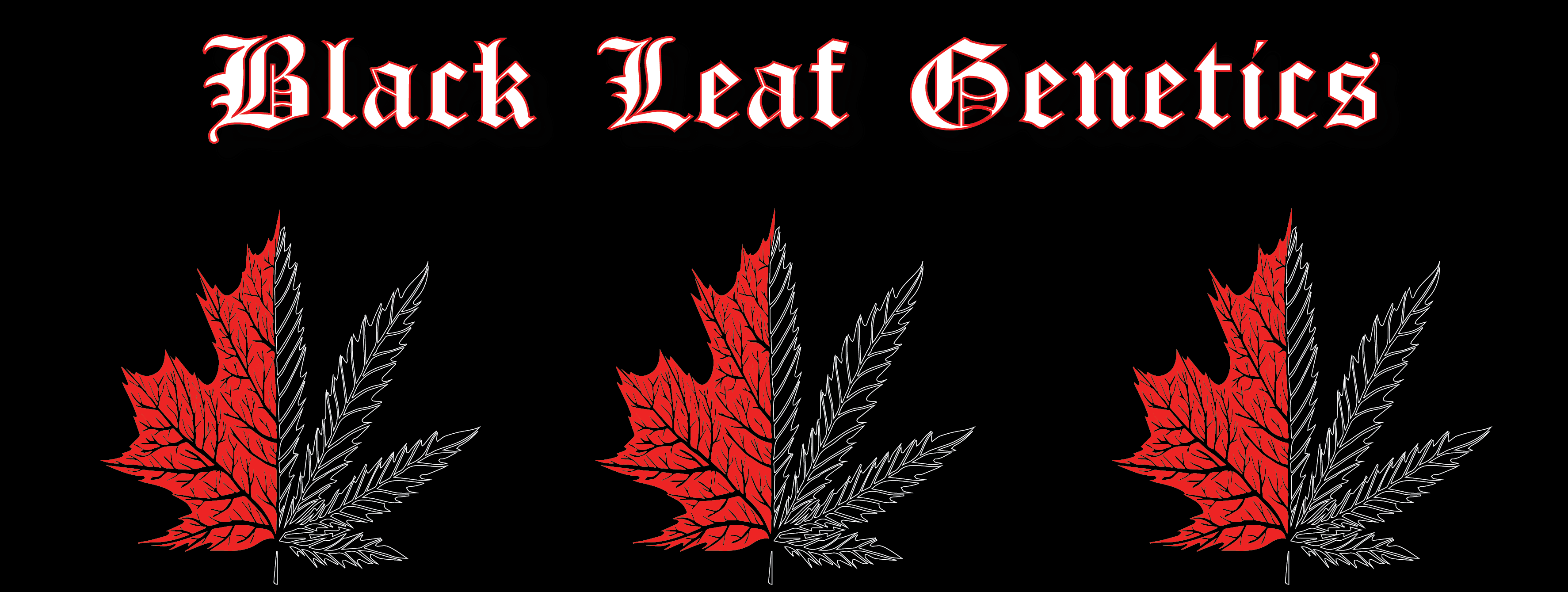 BlackLeaf Genetics's image