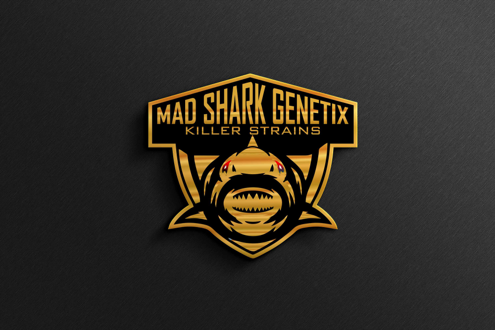 Mad Shark Genetix's image
