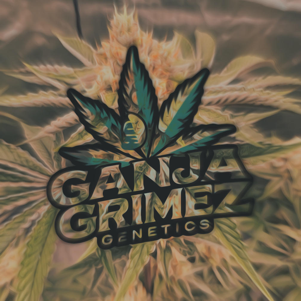 GanjaGrimezGenetics's image