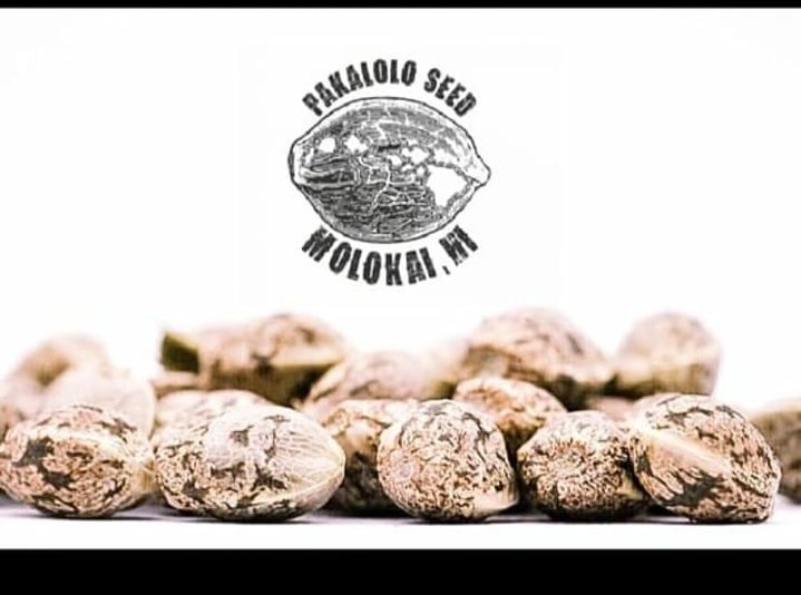 Pakalolo Seed Moloka'i Hawaii's image