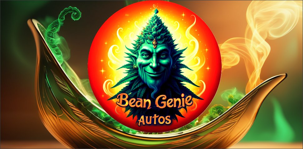 Bean Genie Autos's image