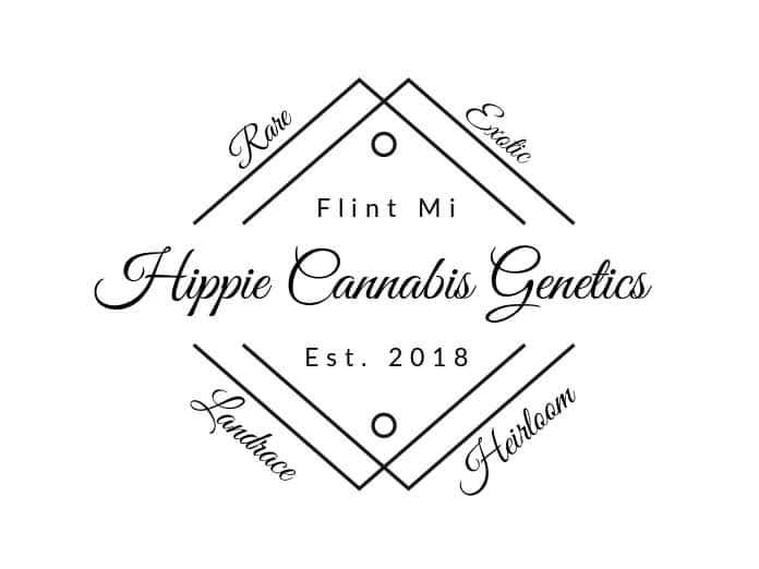 Hippie Cannabis Genetics's image