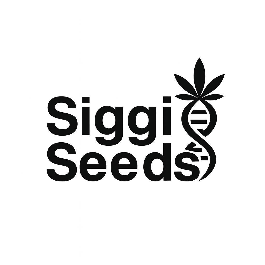 Siggi Seeds's image