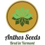 Anthos Seeds's image