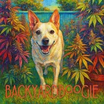 Backyard Boogie's image