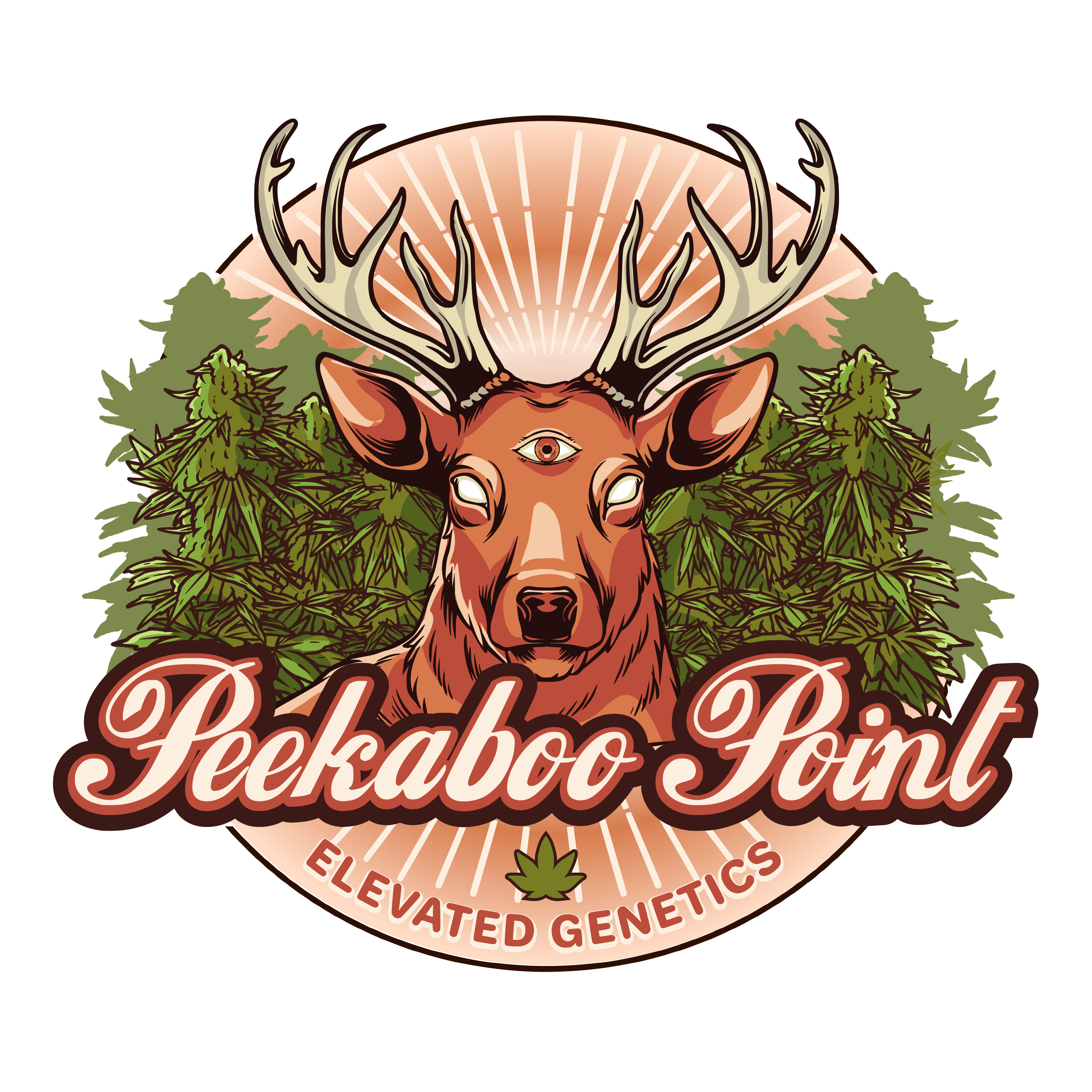 Peekaboo Point's image