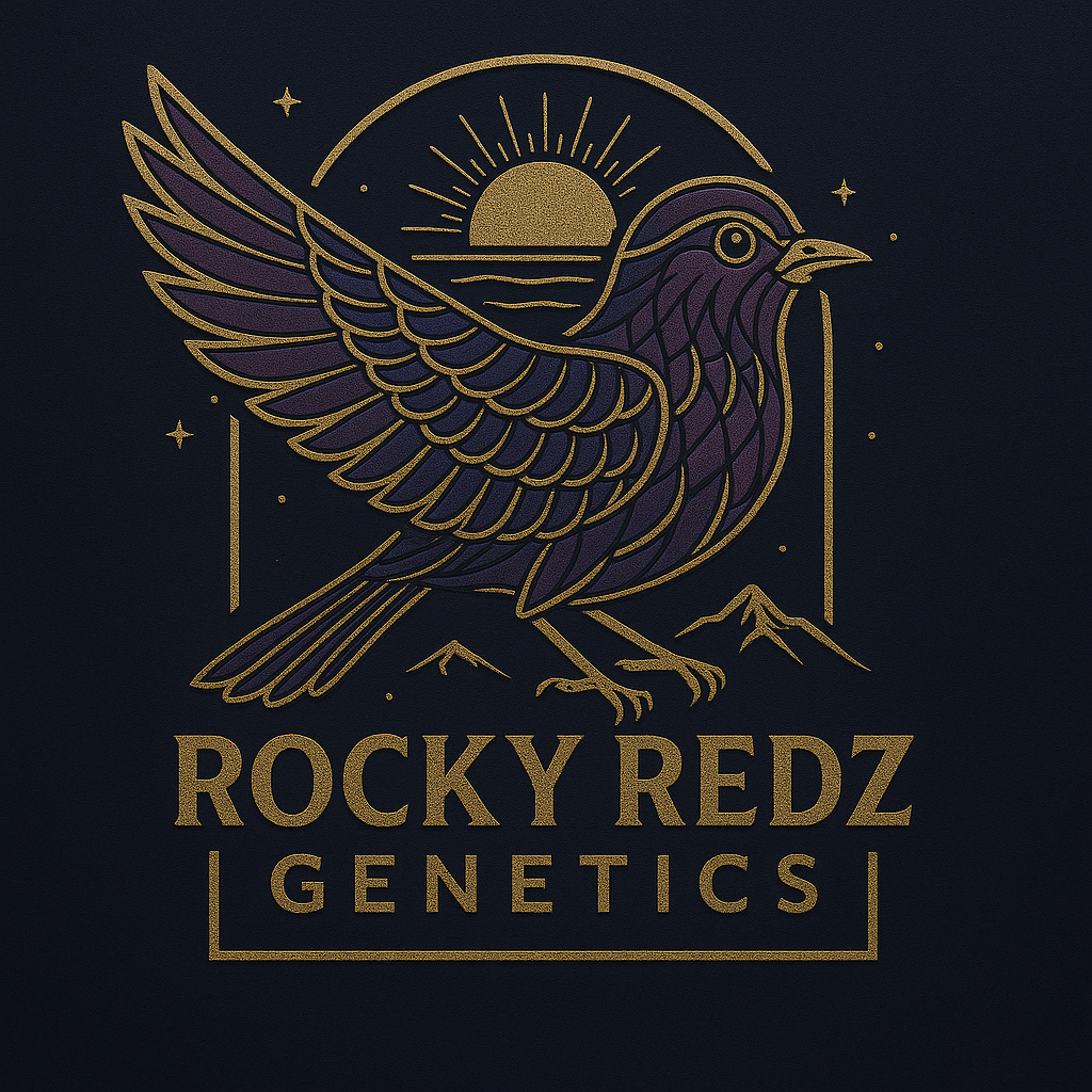 Rocky Redz Genetics's image