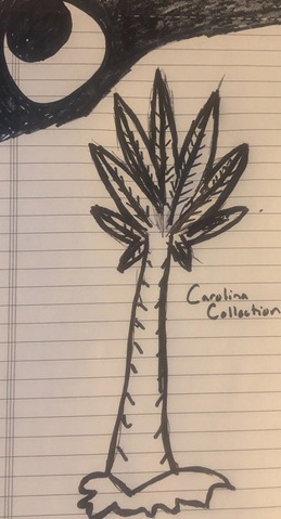 The Carolina Collection's image