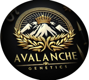 Avalanche Genetics's image