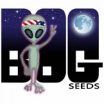 B.O.G. Seeds's image