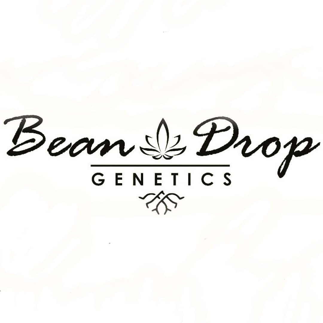 Bean Drop Genetics's image