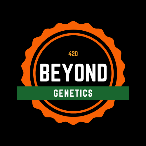 Beyond Genetics's image