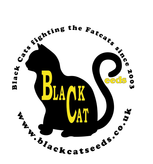 Black Cat Seeds's image