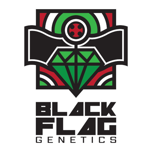 Black Flag Genetics's image