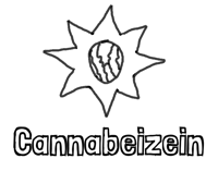 Cannabeizein's image