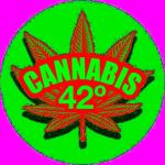 Cannabis 42°'s image