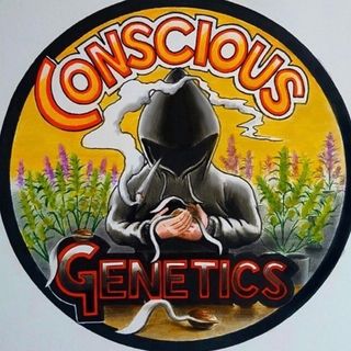 Conscious Genetics's image