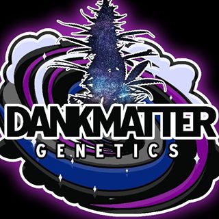 Dankmatter Genetics's image