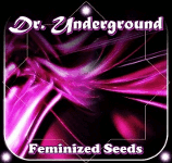 Dr. Underground's image