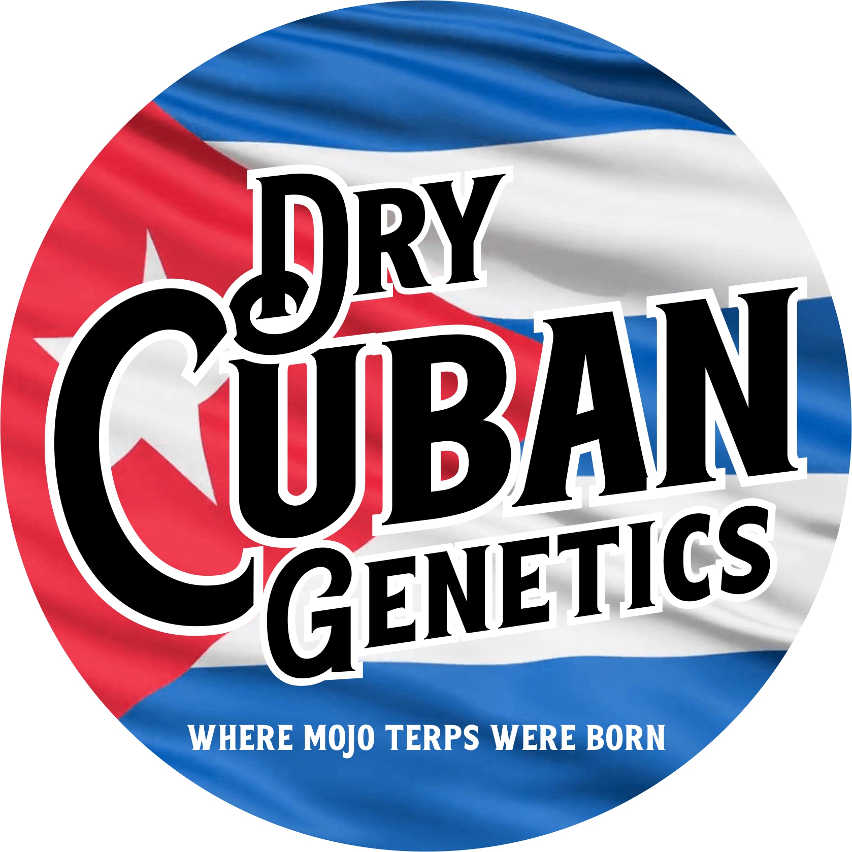 Dry Cuban Genetics's image