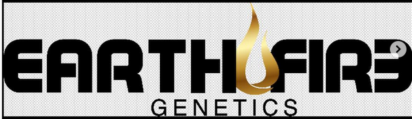 EarthFire Genetics's image