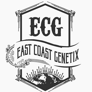 East Coast Genetix's image