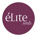 Élite Seeds's image