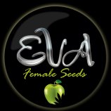 Eva Female Seeds's image