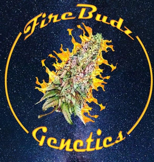 Firebudz Genetics's image