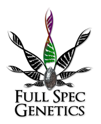 Full Spec Genetics's image