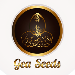 Gea Seeds's image