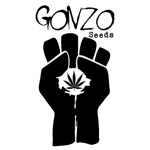 Gonzo Seeds's image