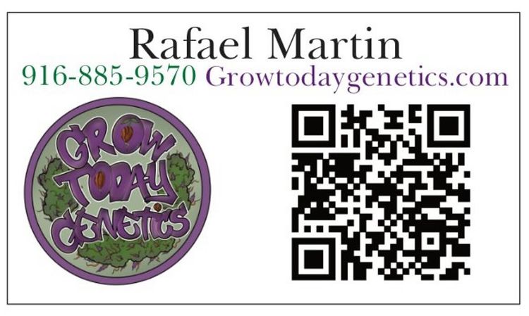 Grow Today Genetics's image