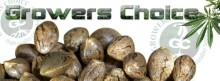 Growers Choice's image