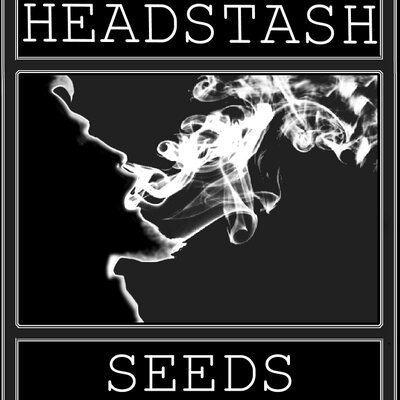 Headstash Seeds's image