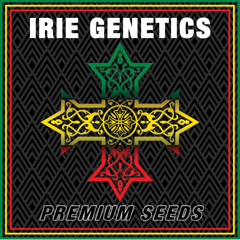 Irie Genetics's image