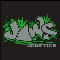 Jaws Gear's image