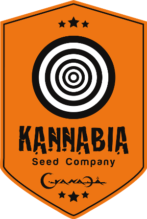 Kannabia Seeds's image