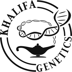 Khalifa Genetics's image