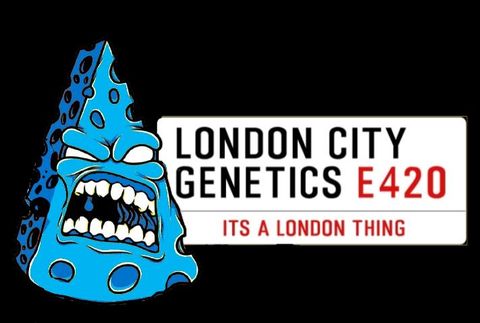 London City Genetics's image