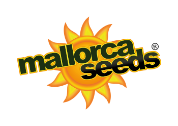 Mallorca Seeds's image