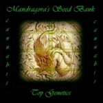 Mandragora´s Seed Bank's image