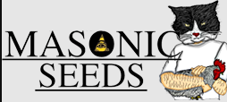 Masonic Seeds's image